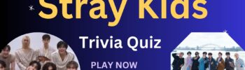 Stray Kids Trivia Quiz - PLAY NOW